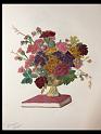 Book Flowers